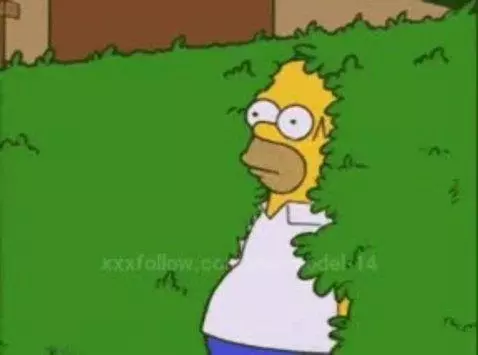 bush by testmodel-14