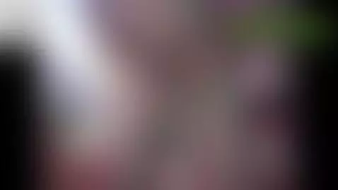 5pringfield by 5ilkecam