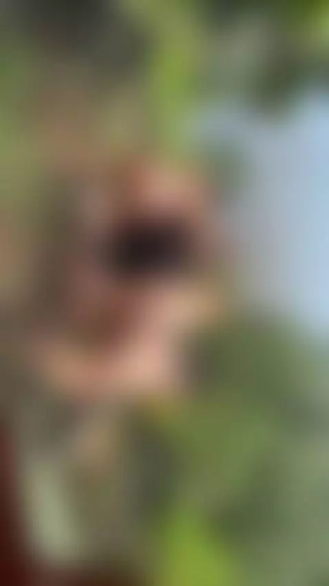 enjoying this nice view with my friends by tatim1104