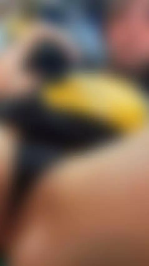 👀 I want your head in the middle of my legs by kristen1994