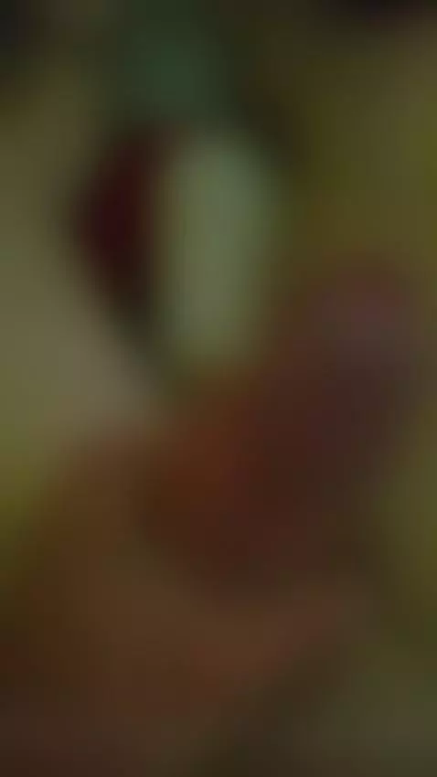 Video by economicsoapforesee602