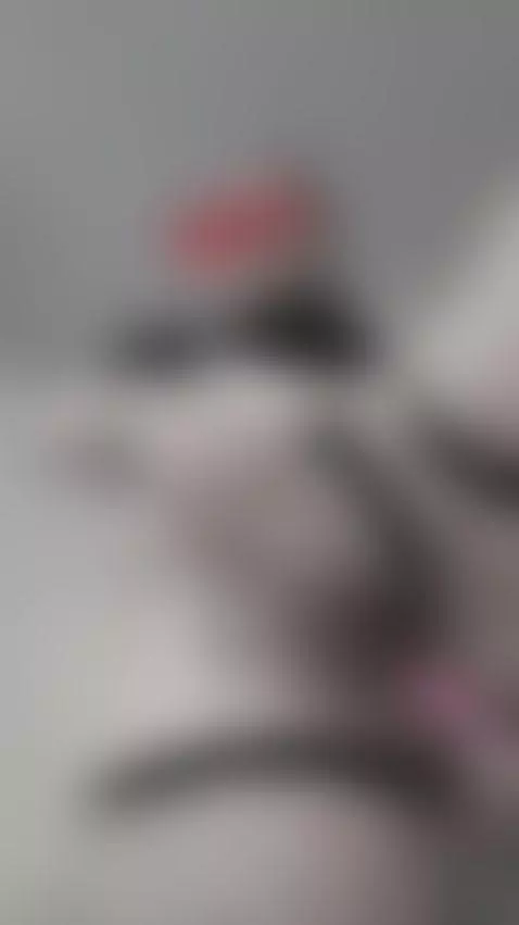 Video by devora-sammer