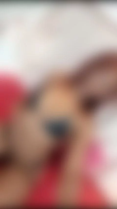 Come to see me online, i'm new here♥ by saamanthaclark