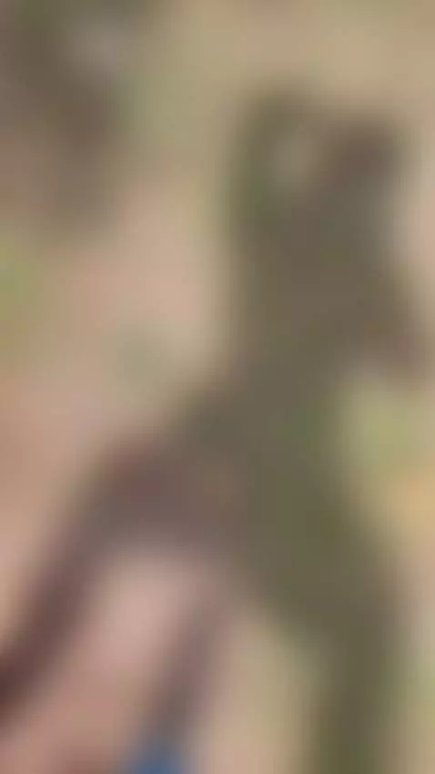 Video by lesly-lovegood