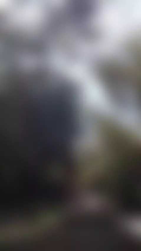 Una visita a la naturaleza by anastasia-basst