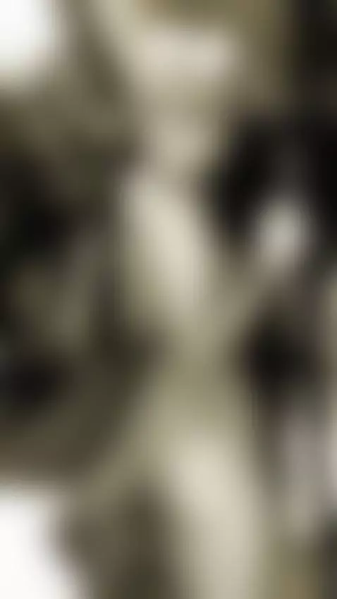 Foxxy Love is here 🦊💖 by emilyleah