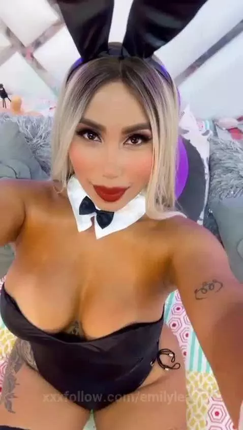 tu conejita playboy llego aqui para ti baby !! by emilyleah