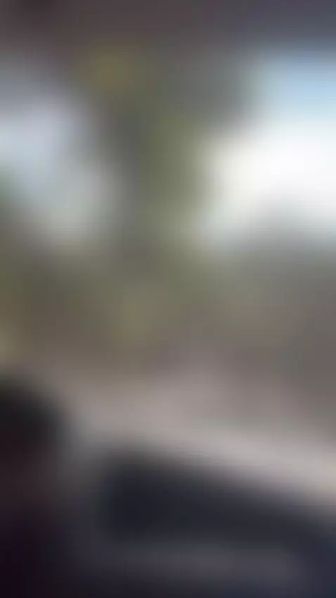 lindo dia by paolamss