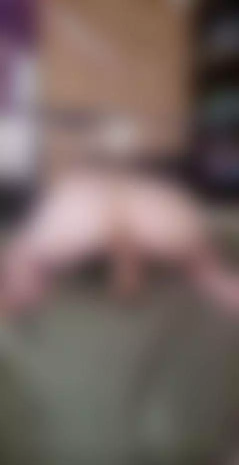 loves her ass stuffed by augustspies222