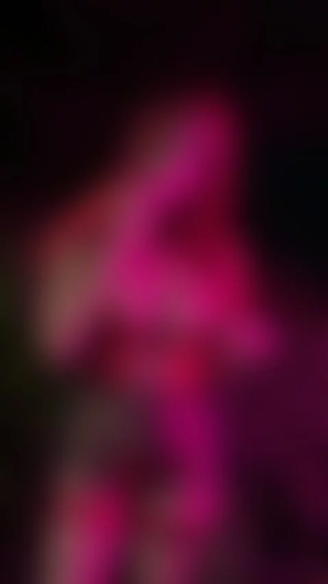 I am your little red riding hood by aikabett