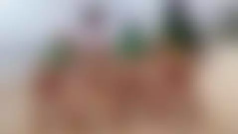 Which is your favorite 🍑? by catalleyahott