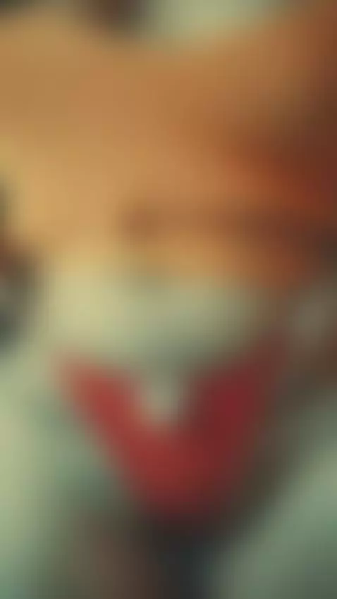 fat kitties 😻 by blow-joy