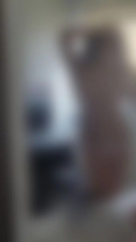 Do u like bby? by akalyy