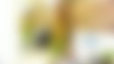 Hi guys, how much do you think about my new look? by gigithunderfox