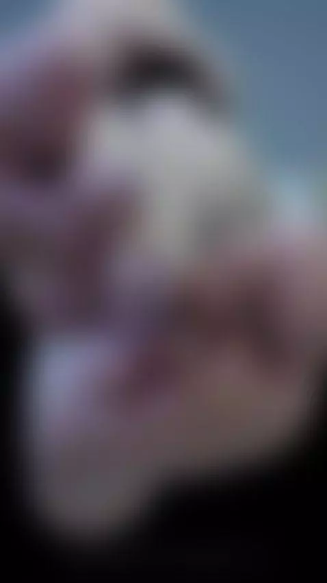 You know how mean i can be dont test my patience, you will r... by jade-16