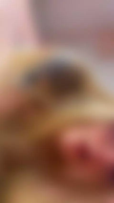 rawr, happy weekend♥ by tammara1