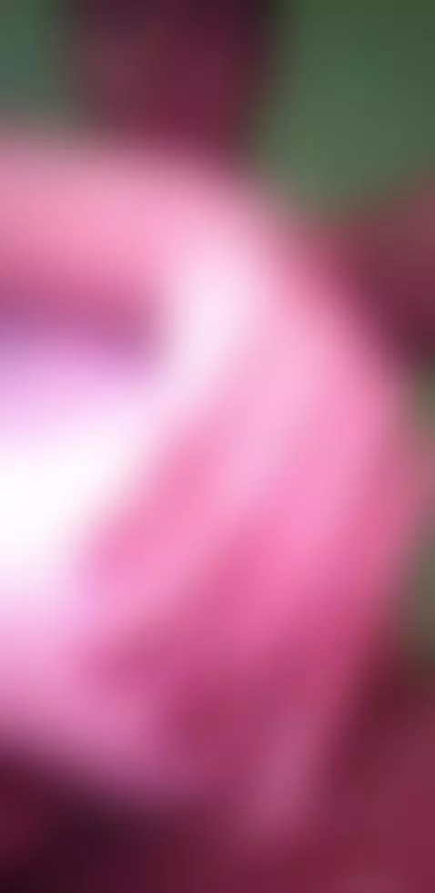 podria darte igual o mejor tu decides bby ?😏👍😈 by tororey99