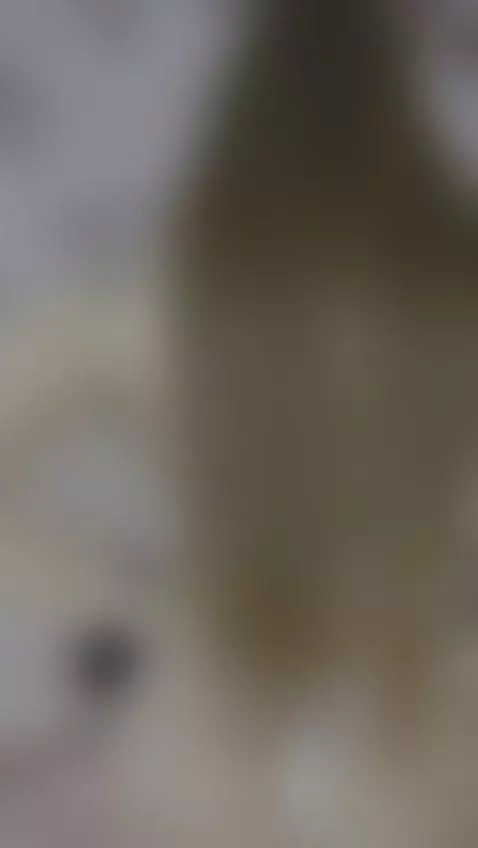 Pussy play by hessamuslim