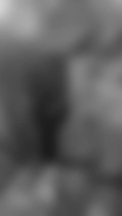 today is Saturday to play with my boys by vaiolett-coleman