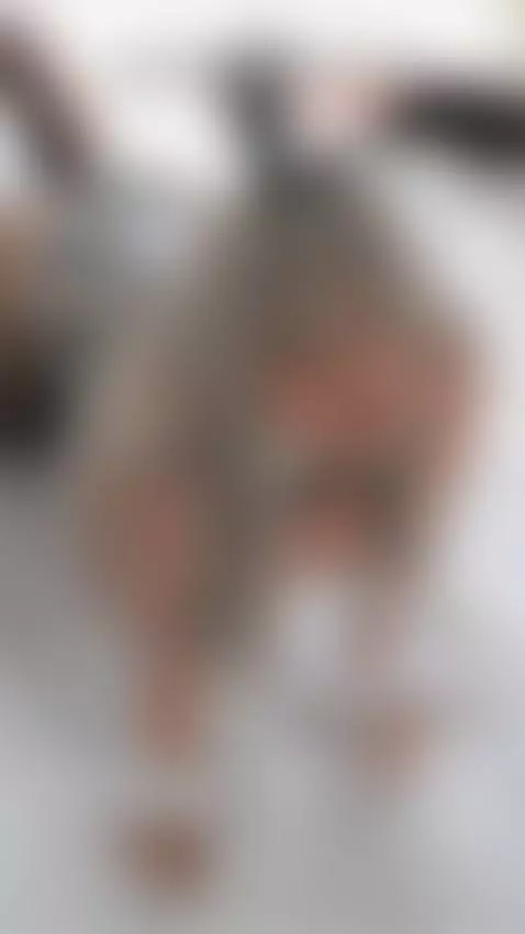 Do not miss my birthday, come and enjoy together ♥ by emmy-walker