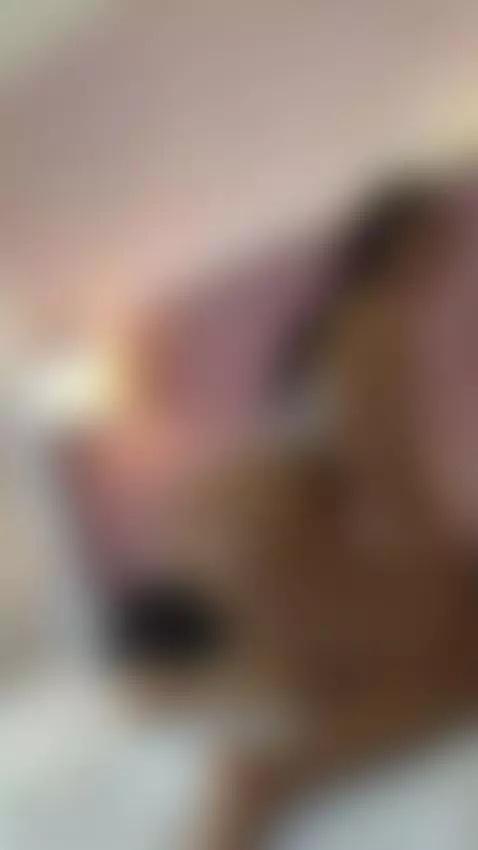 Watch my thick booty bounce on my toy! 💦 by hallybans