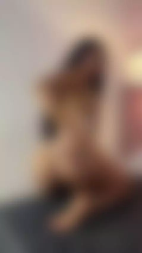 Ebony ​slut ​riding ​cock 🍑 ​Fuck ​me ​harder ​till ​I ​scre... by hallybans