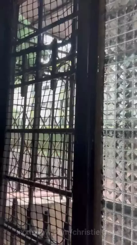 Do you want to see my beautiful tits? by christiekroes