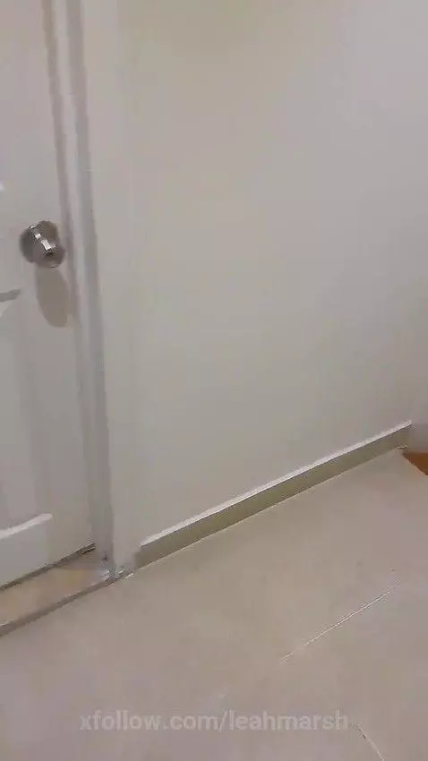 they almost catch me by leahmarsh