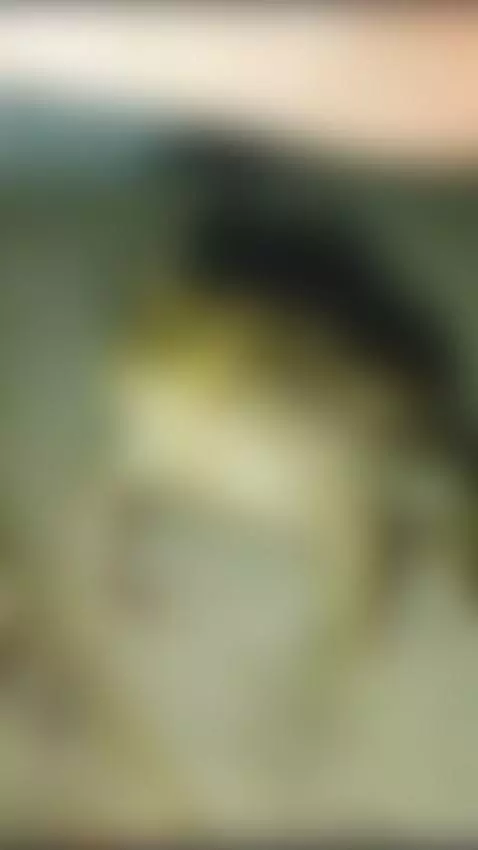 ahegao, bbw, bigboobs by yoki-shizuko