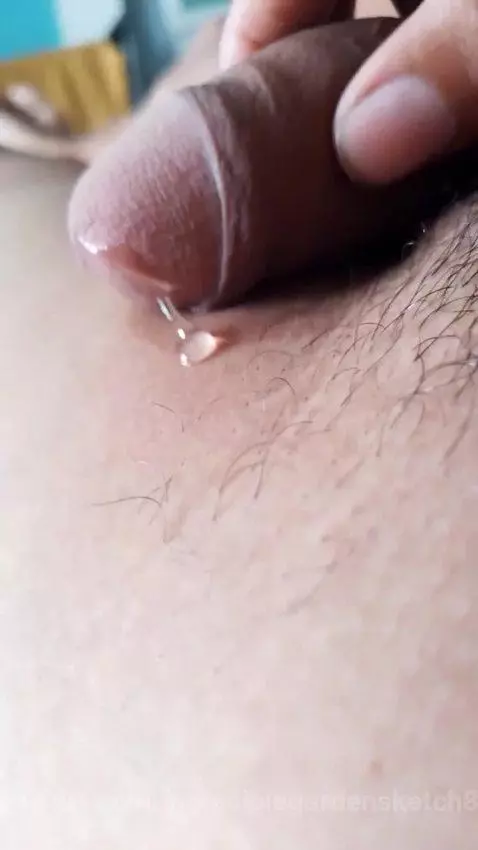 hazme una pregunta by incrediblegardensketch811