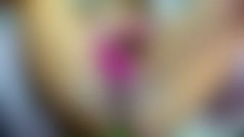Video by jacksonchloex