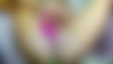 cumming with lovense on my clitoris by jacksonchloex