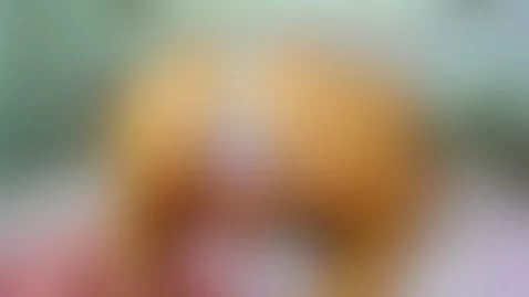 one and only cum show by jacksonchloex