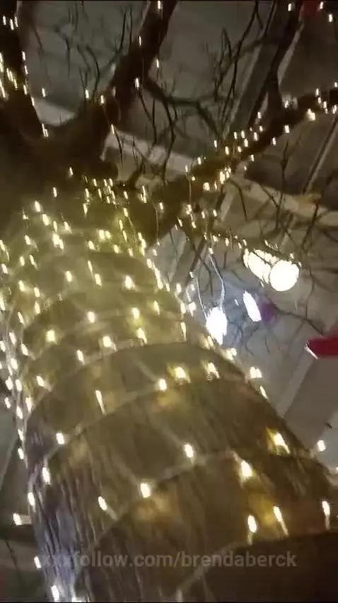 Brenda berck  Free Live  Show & Chat - Camsoda by brendaberck