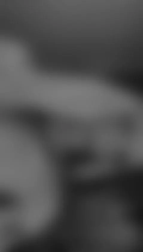 🎇 Welcome January by lyannaa