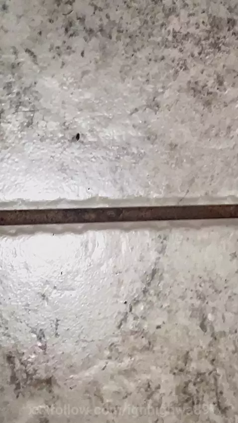 Video by ighhighwa89