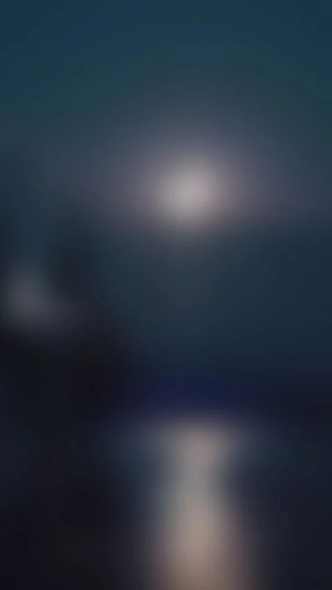 Love Moonlight Strolls by flowergg11