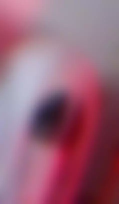 a halloween video🎃 by melanie-oconor