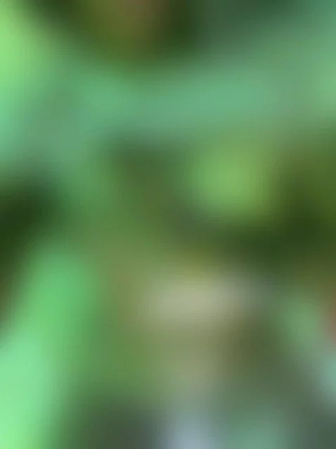 POV by xsuccubusmilax