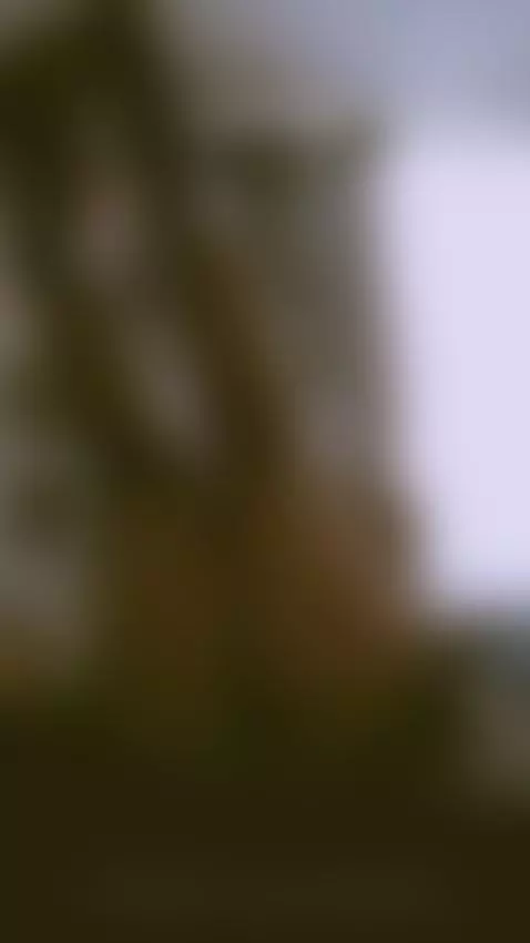 Anyone who knows what love is🥀 Irma by nanabelaa