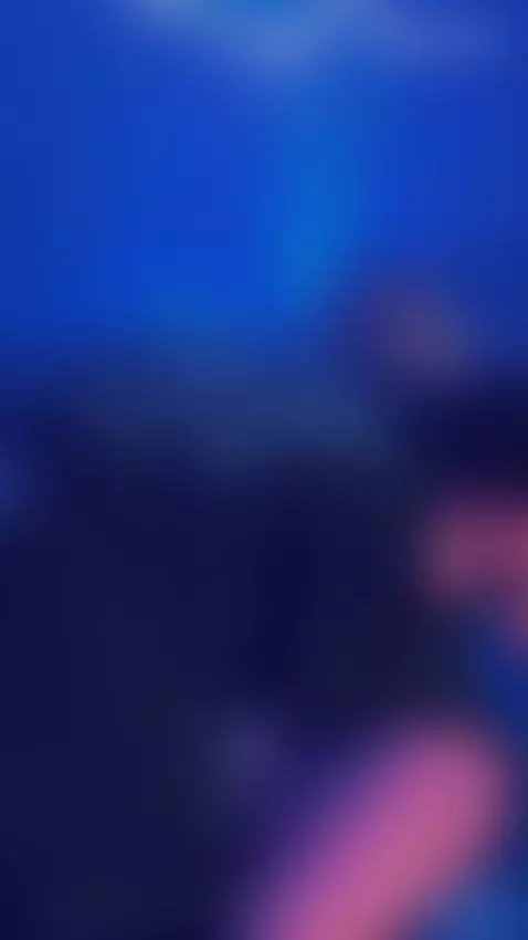 This guy fucked me all night🥵 by kendallcurkovaa