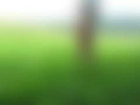 Petr Jirmus submissive Czech gay slut likes to expose hersel... by petr71