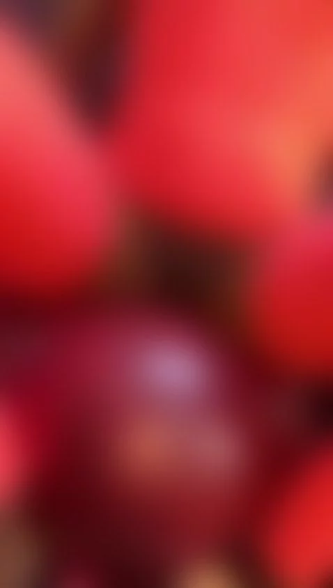 Make me bounce on top you dick! by maryyjohnson