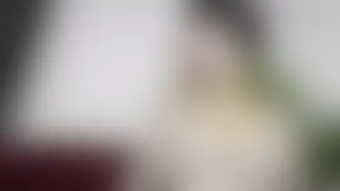 Trailer - Sexy Secretary by brianaa-hot