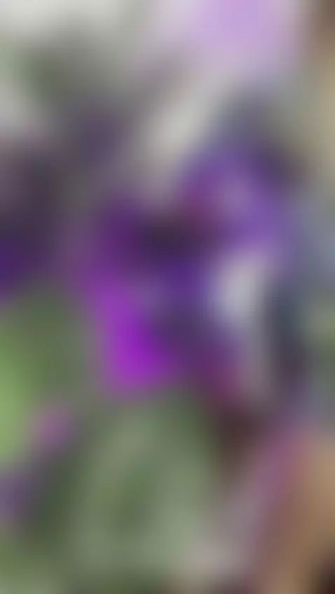 Trailer - Sensual strip by brianaa-hot