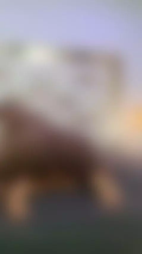 Tease You Until You Beg💖 by kendrafosteer