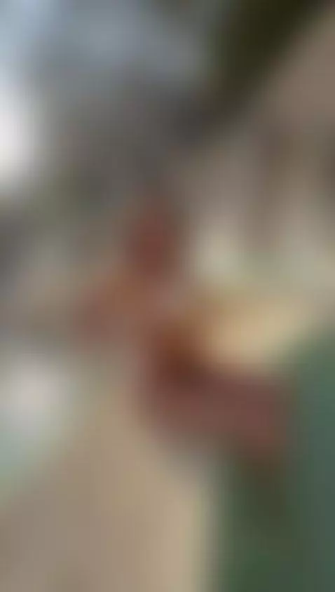 I give you these two white roses by alexaporter