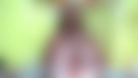 Hello honey ♥ by karatibby