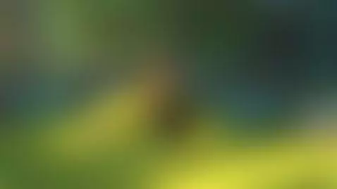 Video by gusm-testing-cam