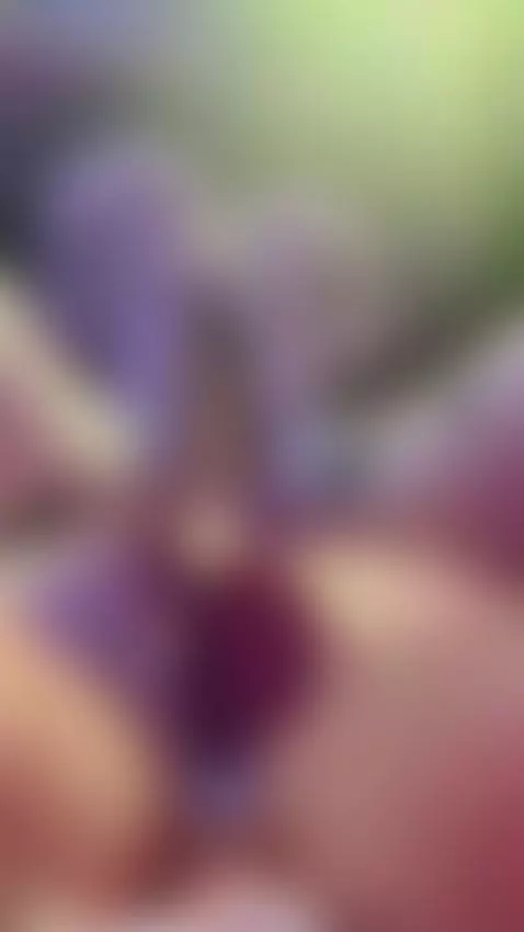 you like the cute cows :3 by seraphine2